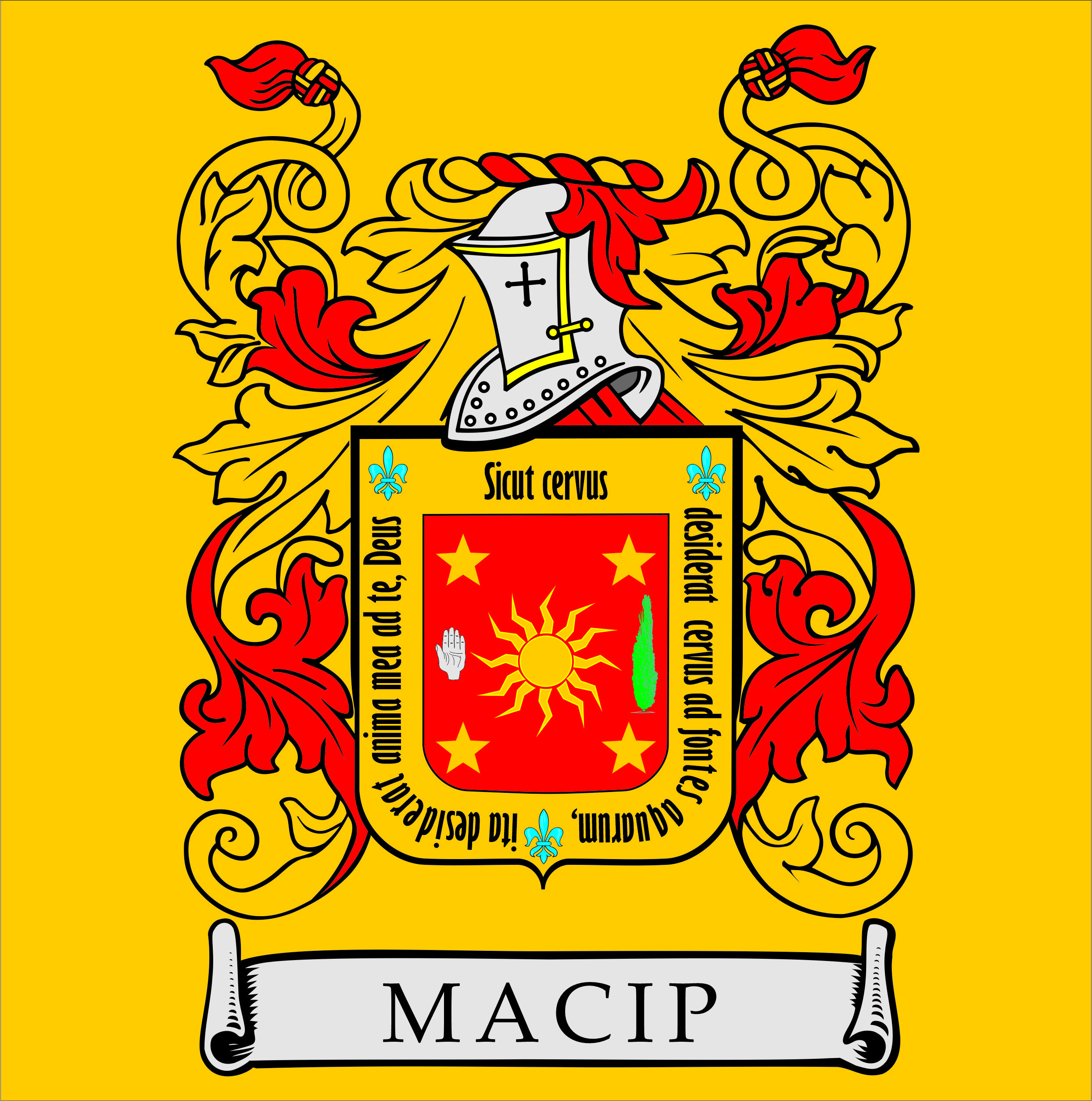 MACIP