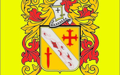 Adasoni