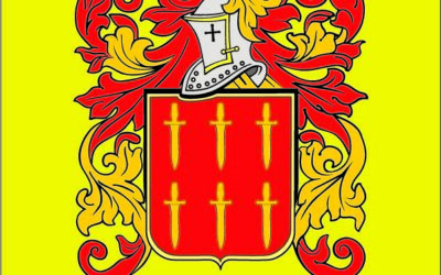 Aidisoni