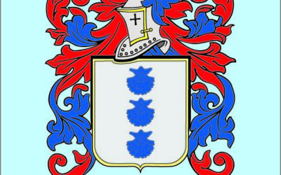 Aira