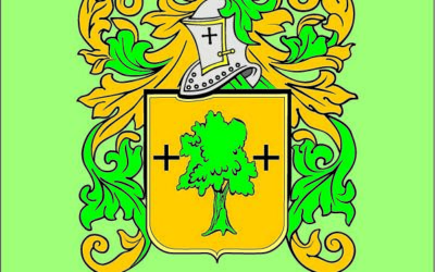 Ajanguiz