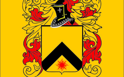 Sayol