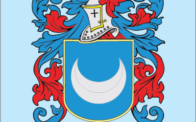 Sisa