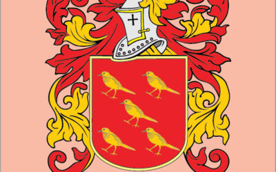 Sisi